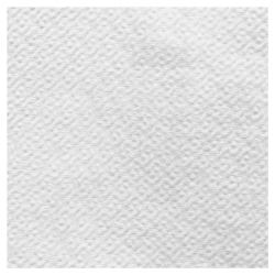 Serviettes de table 1 épaisseur (30 x 30 cm) blanche