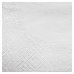 Serviettes de table 2 épaisseurs (30 x 30 cm) blanches